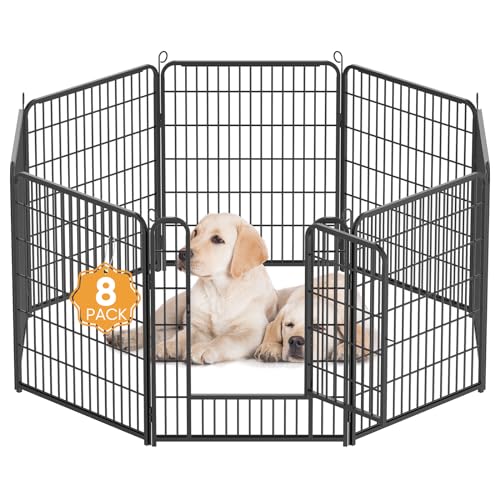 Kidsbuddy Welpenlaufstall,Hundelaufstall,8 Gitter je 80x65 cm,Automatische Verriegelung,Flexibel und faltbar,Welpenauslauf mit Tür,Welpengitter,Freilaufgehege Hund,Tierlaufstall für innen und Outdoor Kidsbuddy Welpenlaufstall,Hundelaufstall,8 Gitter je 80x65 cm,Automatische Verriegelung,Flexibel und faltbar,Welpenauslauf mit Tür,Welpengitter,Freilaufgehege Hund,Tierlaufstall für innen und Outdoor von Kidsbuddy
