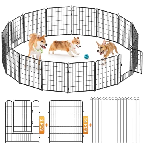 Kidsgigglz Haustier Laufgitter, Hundezaun, Freilaufgehege Kaninchen, DIY Drahtzaun mit Tür für den Innen Außenbereich, Spielplatz für Garten für Hund Katze Welpe Kaninchen Hühner, 16Gitter je 65x80cm Kidsgigglz Haustier Laufgitter, Hundezaun, Freilaufgehege Kaninchen, DIY Drahtzaun mit Tür für den Innen Außenbereich, Spielplatz für Garten für Hund Katze Welpe Kaninchen Hühner, 16Gitter je 65x80cm von Kidsgigglz