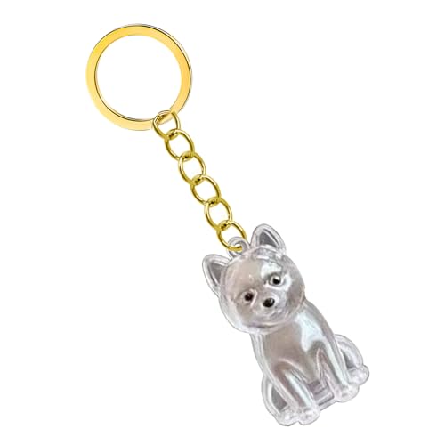 Emotional Unterstützen Haustierverlust Keychain Memorial Box Mit Klarer Haarspeicherung Für Trauernde Besitzer Hund Schmuck wasserdichte Speicherschlüsselrasse Memory Keychain Sentimental Gift von KieTeiiK