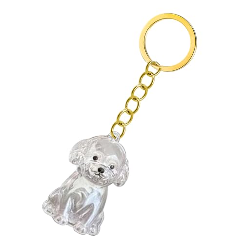 Emotional Unterstützen Haustierverlust Keychain Memorial Box Mit Klarer Haarspeicherung Für Trauernde Besitzer Hund Schmuck wasserdichte Speicherschlüsselrasse Memory Keychain Sentimental Gift von KieTeiiK