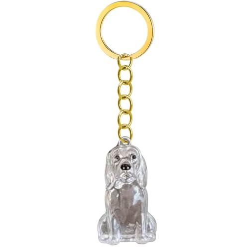 Emotional Unterstützen Haustierverlust Keychain Memorial Box Mit Klarer Haarspeicherung Für Trauernde Besitzer Hund Schmuck wasserdichte Speicherschlüsselrasse Memory Keychain Sentimental Gift von KieTeiiK