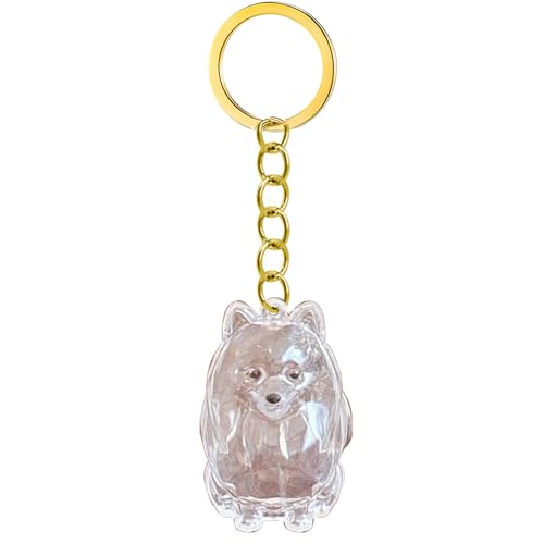 Emotional Unterstützen Haustierverlust Keychain Memorial Box Mit Klarer Haarspeicherung Für Trauernde Besitzer Hund Schmuck wasserdichte Speicherschlüsselrasse Memory Keychain Sentimental Gift von KieTeiiK