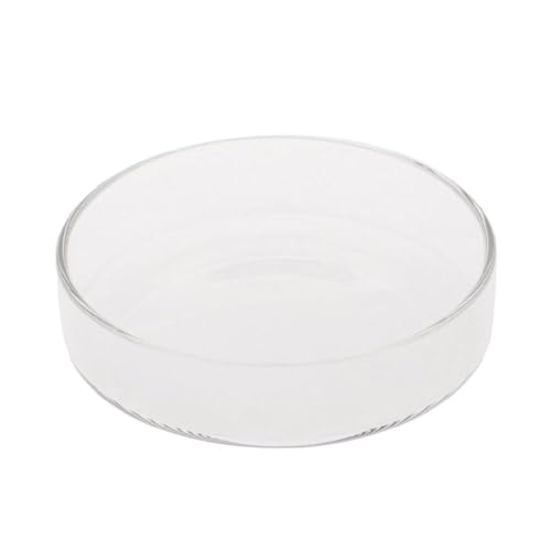 KieTeiiK Garnelen Futterschale Glas Futterschale Aquarium Fische Für Tank Reptilien Runder Futternapf 9 9 cm 8 9 cm 8 9 cm 7 6 cm 6 6 cm 2 4 Zoll Aquarium Heizung Licht Thermometer Pflanzen KieTeiiK Garnelen Futterschale Glas Futterschale Aquarium Fische Für Tank Reptilien Runder Futternapf 9 9 cm 8 9 cm 8 9 cm 7 6 cm 6 6 cm 2 4 Zoll Aquarium Heizung Licht Thermometer Pflanzen von KieTeiiK