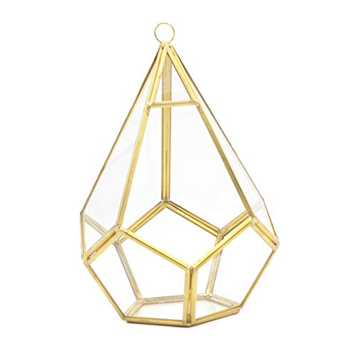 Geometrische Glas Terrarium Box Handgefertigt Fünfseitige Rhombus Glas Tischplatte DIY Display Pflanzgefäß Mit Schaukel Für Saftige Blumenaufhänger von KieTeiiK