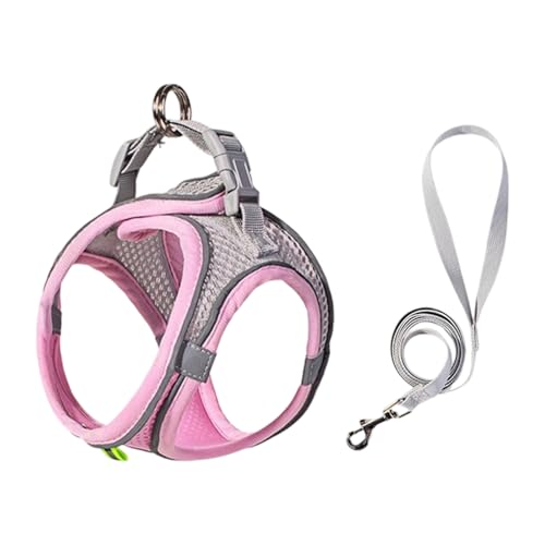 Katzengurt Gurte Fluchprofes Design Gepolsterte Brustweste Für Kleine Hunde Haustier Freien Gehen Und Reisen Essentiell Atmungsaktives Haustierkabelbaum Katzengurt Gurte Fluchprofes Design Gepolsterte Brustweste Für Kleine Hunde Haustier Freien Gehen Und Reisen Essentiell Atmungsaktives Haustierkabelbaum von KieTeiiK