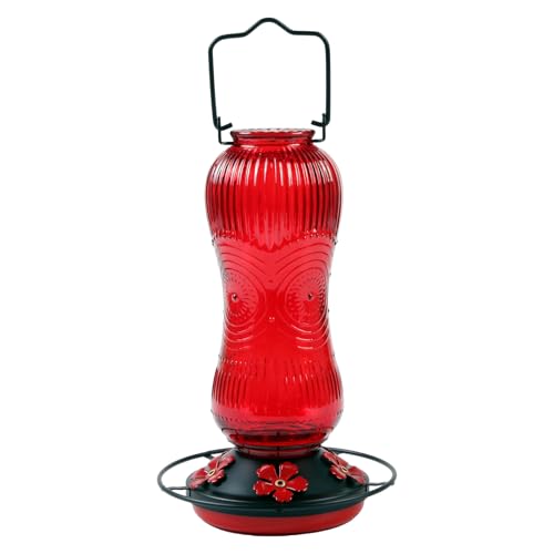 KieTeiiK 26floz Glass Hummingbird Wasserspender Breites Mund Design Mit Sicherem Haken Für Vogelfütterungen Freien Und Einfache Beobachtung Wetterfestes Kolibri Feeder KieTeiiK 26floz Glass Hummingbird Wasserspender Breites Mund Design Mit Sicherem Haken Für Vogelfütterungen Freien Und Einfache Beobachtung Wetterfestes Kolibri Feeder von KieTeiiK
