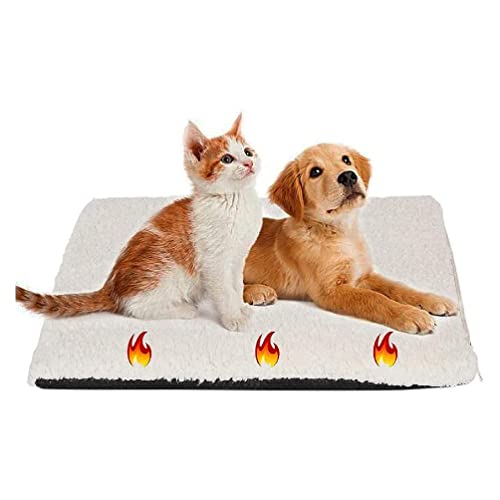KieTeiiK Dog Self Heating Pad Dog Bed Washable Pet Sleeping Mats Pet Dog Bed Mattress Self Warming Pad For Small Medium Dog Cats Dog Bed Mats For Large Dogs Dog Bed Mats For Floors Washable KieTeiiK Dog Self Heating Pad Dog Bed Washable Pet Sleeping Mats Pet Dog Bed Mattress Self Warming Pad For Small Medium Dog Cats Dog Bed Mats For Large Dogs Dog Bed Mats For Floors Washable von KieTeiiK