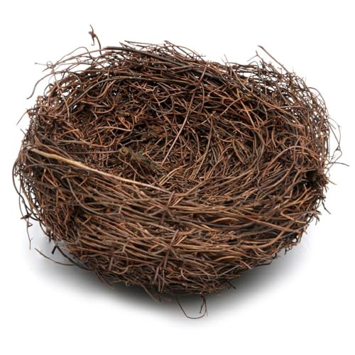 KieTeiiK Vogelhütte Aus Rattan Handgewebt Nisthäuser Für Den Außenbereich Kleine Mittelgroße Papageienfinkennester Gartenfensterdekorationen Vogelhäuschen Zum Aufhängen Freien KieTeiiK Vogelhütte Aus Rattan Handgewebt Nisthäuser Für Den Außenbereich Kleine Mittelgroße Papageienfinkennester Gartenfensterdekorationen Vogelhäuschen Zum Aufhängen Freien von KieTeiiK