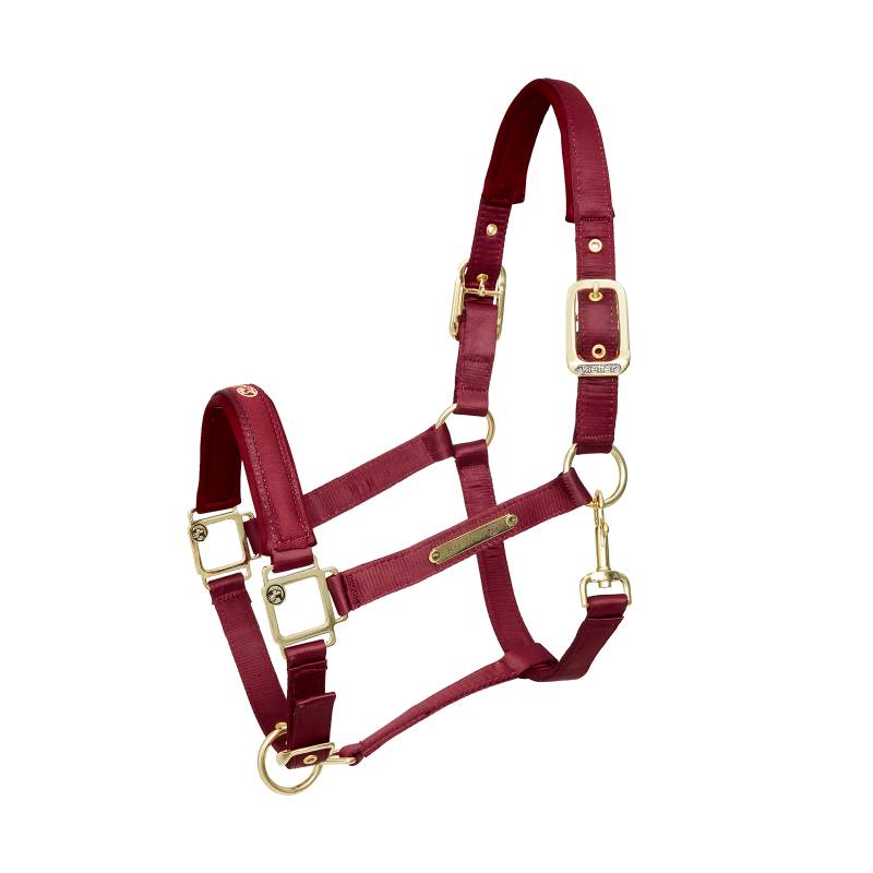 Kieffer Halfter Satin Shine Gr. Vb, Burgund von Kieffer
