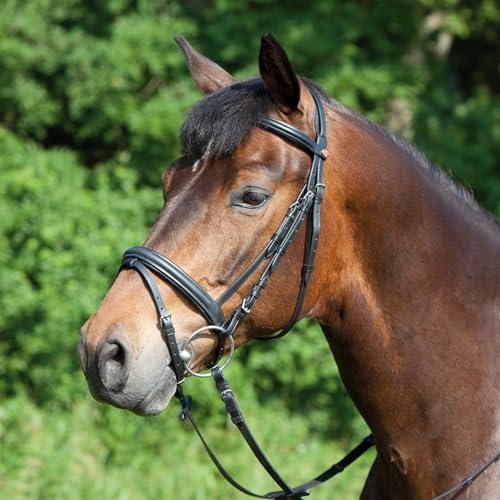 Kieffer Trensenzaum Ergonomic Line Trense Warmblut Extra ENGL. Reithalfter (schwarz) von Kieffer