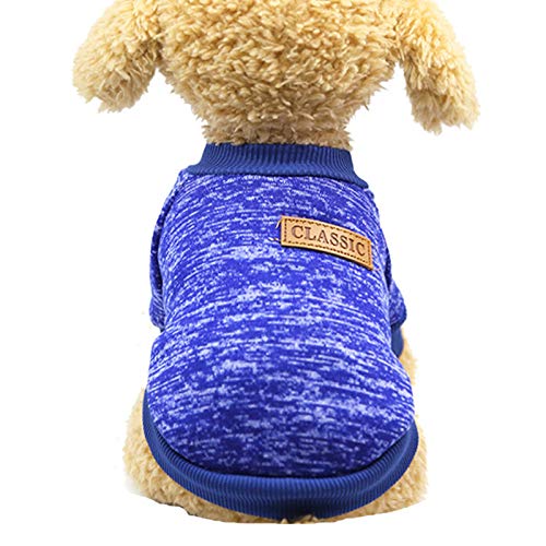 Kielsjajd Hochwertige Hundepullover Warmer Teddypullover Welpenkleidung Katzenwollkampf Zweibeiniger Hund Haustier Haustierkleidung Hundepullover Blau (Blue, XS) von Kielsjajd
