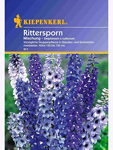 Kiepenkerl - Blumen-Saatgut: Delphinium Rittersporn mehrjährige Mischung von Kiepenkerl - Blumen-Saatgut