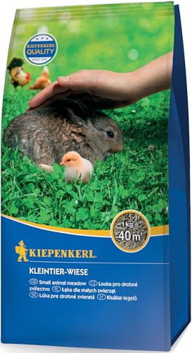 Kiepenkerl Kleintier-Wiese 651609, 1 kg - Rasensamen für Tiere, schnellkeimend, winterhart, ideal für Kleintierrasen, gesunde Frischfutterquelle, hoher Zierwert Kiepenkerl Kleintier-Wiese 651609, 1 kg - Rasensamen für Tiere, schnellkeimend, winterhart, ideal für Kleintierrasen, gesunde Frischfutterquelle, hoher Zierwert von Kiepenkerl
