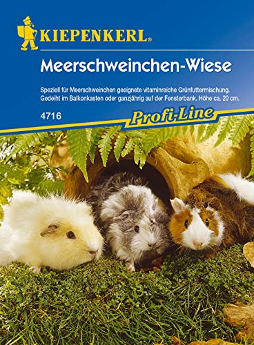 Kiepenkerl Meerschweinchenwiese Kiepenkerl Meerschweinchenwiese von Kiepenkerl