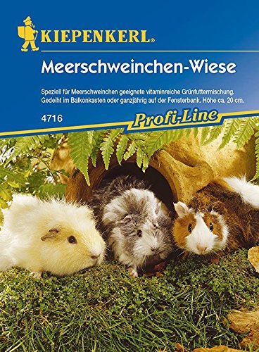 Meerschweinchen-Wiese - 1 Portion Meerschweinchen-Wiese - 1 Portion von Kiepenkerl