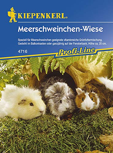 Meerschweinchenwiese von Kiepenkerl Meerschweinchenwiese von Kiepenkerl von Kiepenkerl