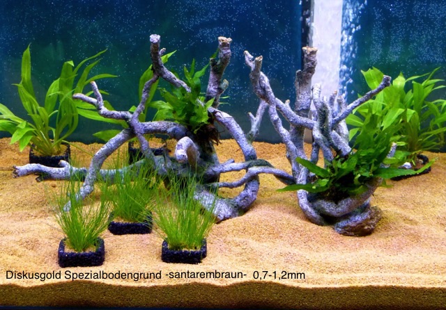 Santarembraun 0,7-1,2mm, 25 kg: Diskusgold Spezialbodengrund für Diskusaquarien von Kies