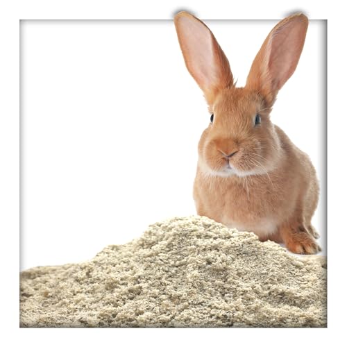 25 kg Buddelsand 0-1 mm für Kaninchen & Hasen, kantengerundet, lehmfrei, frei von Verunreinigungen & chemischen Zusätzen 25 kg Buddelsand 0-1 mm für Kaninchen & Hasen, kantengerundet, lehmfrei, frei von Verunreinigungen & chemischen Zusätzen von Kieskönig