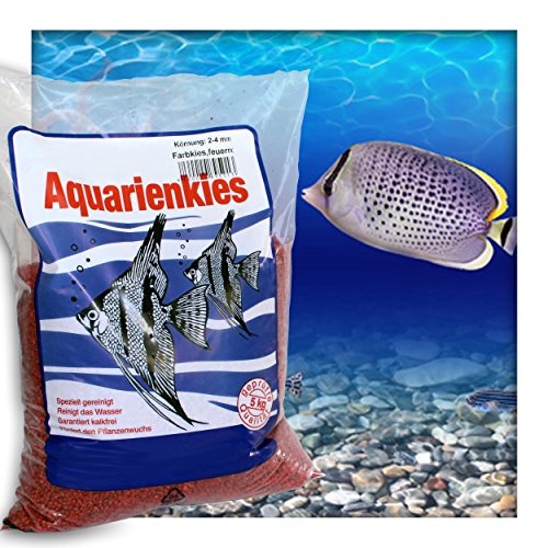 Farbkies Feuerrot Aquarium Deko Kies Aquariengrund Aquariumkies Bodengrund Körnung 2-4 mm 10 kg (2 x 5 kg Beutel) von Kieskönig