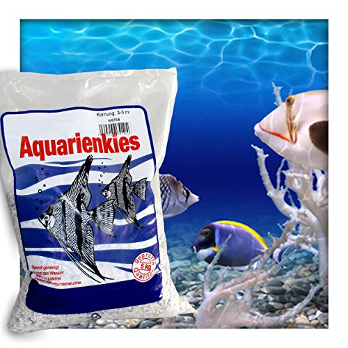 Kieskönig Aquarienkies Aquariumsand Bodengrund 3-5 mm Aquariensand hochrein Naturweis 10 kg (2 x 5 kg Sack) von Kieskönig