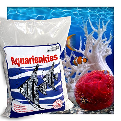 Kieskönig Aquariensand Aquariumsand Bodengrund 2-4 mm Aquarienkies hochrein Naturweiss 10 kg (2X 5 kg Sack) von Kieskönig
