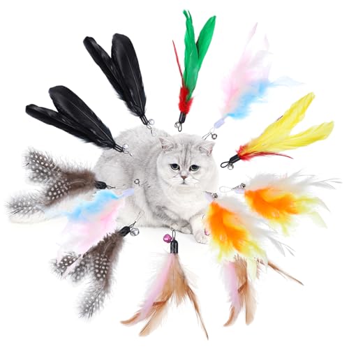 Kifmurase 12 Stück Katzenspielzeug Feder, Feder-Katzenstab-Spielzeugaufsatz mit Glöckchen, interaktiver Teaser-Federn-Ersatz für gelangweilte Hauskatzen, Kätzchen-Übungsspiel Kifmurase 12 Stück Katzenspielzeug Feder, Feder-Katzenstab-Spielzeugaufsatz mit Glöckchen, interaktiver Teaser-Federn-Ersatz für gelangweilte Hauskatzen, Kätzchen-Übungsspiel von Kifmurase