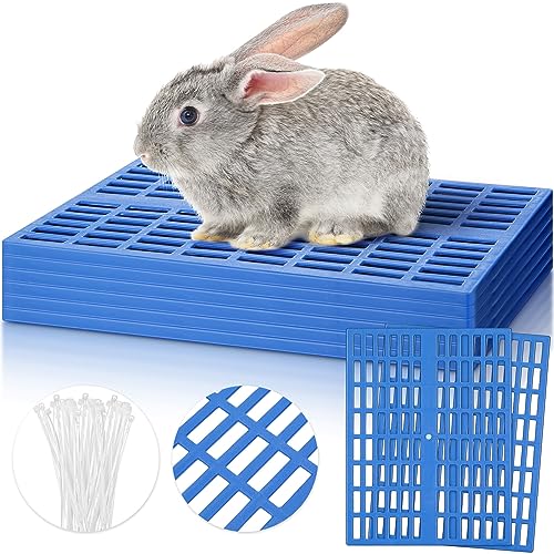 Kigley 6 Stück Kunststoff Kaninchenkäfig Matte Kaninchen Bodenmatte Fußauflage Pads für Kleintiere Ratten Hamster Meerschweinchen Chinchilla, Matten Füße Pads für Hasen Hunde Katzen Haustier, 33 x Kigley 6 Stück Kunststoff Kaninchenkäfig Matte Kaninchen Bodenmatte Fußauflage Pads für Kleintiere Ratten Hamster Meerschweinchen Chinchilla, Matten Füße Pads für Hasen Hunde Katzen Haustier, 33 x von Kigley