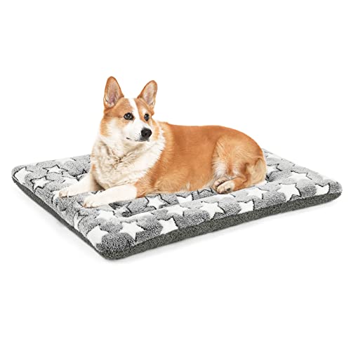 Kigmmro Hundebett-Matte, maschinenwaschbar, Haustierbettunterlage für 76,2 cm große Hundehütte, wendbare Hundeboxunterlage für mittelgroße und kleine Hunde, tragbare und weiche Haustierbettmatte Kigmmro Hundebett-Matte, maschinenwaschbar, Haustierbettunterlage für 76,2 cm große Hundehütte, wendbare Hundeboxunterlage für mittelgroße und kleine Hunde, tragbare und weiche Haustierbettmatte von Kigmmro