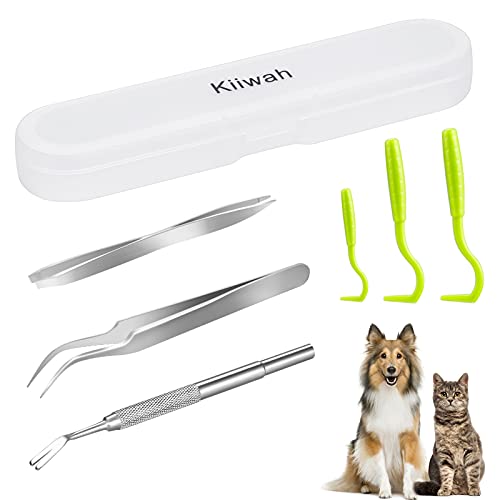 6er Edelstahl Zeckenhaken Zeckenzange Zeckenpinzette für Hunde Katze Mensch Kinder Zeckenentferner Set mit Aufbewahrungsbox 6er Edelstahl Zeckenhaken Zeckenzange Zeckenpinzette für Hunde Katze Mensch Kinder Zeckenentferner Set mit Aufbewahrungsbox von Kiiwah