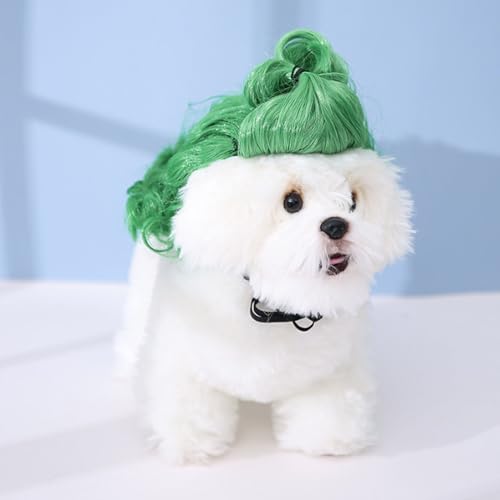 Kikumi Haustier Perücke Grüne Hochse Schwanz Weichwaschbares Nylon Hunde Katzen Kostüm Haar für Cosplay -Partyfotografie von Kikumi