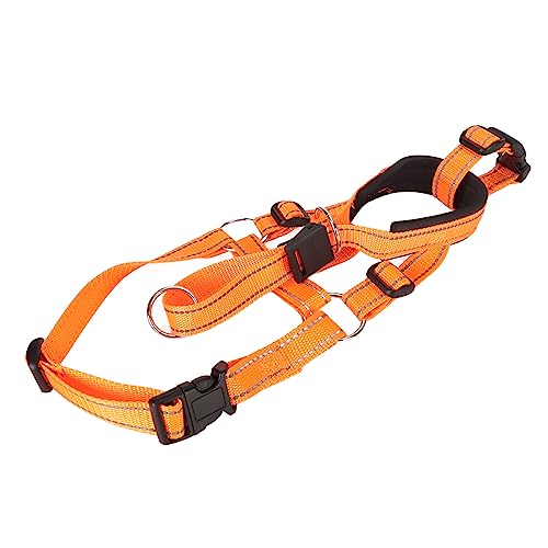 Kikumi Hunde Mündung mit Kopfkragen Einstellbarer Biss und Rinde Prävention Atmungsaktivem Nylonhund für Gehenstraining Orange (L) von Kikumi