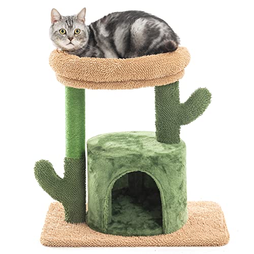Kilodor Katzenbaum für Indoor-Katzen, 62,2 cm, Kaktus-Katzenturm mit großer gepolsterter Sitzstange, Kätzchen-Wohnhaus, Katzenkratzbaum für Kätzchen, groß Kilodor Katzenbaum für Indoor-Katzen, 62,2 cm, Kaktus-Katzenturm mit großer gepolsterter Sitzstange, Kätzchen-Wohnhaus, Katzenkratzbaum für Kätzchen, groß von Kilodor
