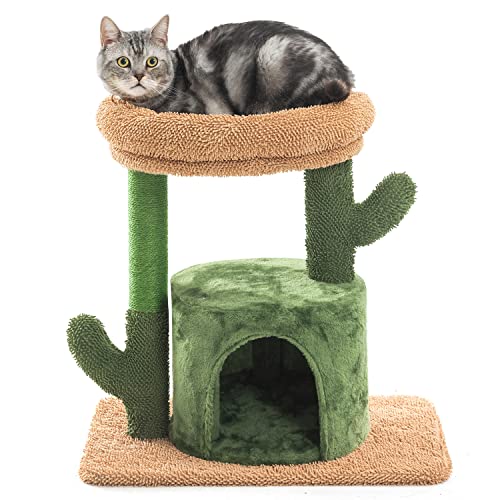 Kilodor Katzenbaum für Indoor-Katzen, 62,2 cm Kaktus-Katzenturm mit großer gepolsterter Sitzstange, Kätzchenwohnheim, Katzenkratzbaum, mittelgroß von Kilodor