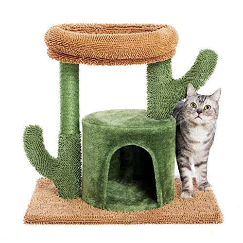 Kilodor Katzenbaum für Indoor-Katzen, 62,2 cm Kaktus-Katzenturm mit großer gepolsterter Sitzstange, Kätzchenwohnung, Katzenkratzbaum von Kilodor