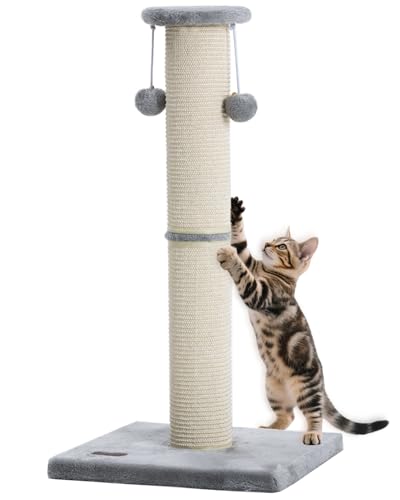 Kilodor Kratzbaum Katzenkratzbaum 34 Zoll Groß Stabil Katzenbaum mit Austauschbarem Sisal Kratzbaum und Hängender Ball Kratzbaum für Indoor Katzen Erwachsene Grau von Kilodor