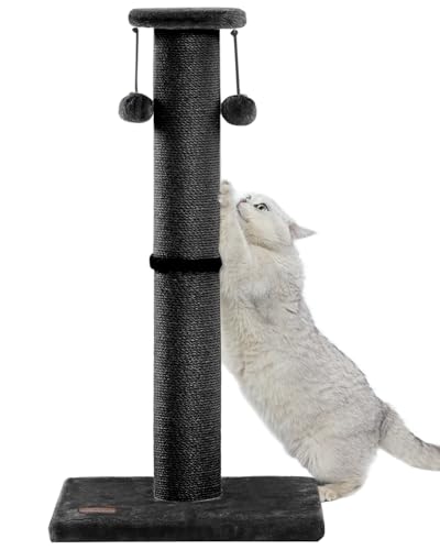 Kilodor Kratzbaum aus Sisal, 86,4 cm hoch, 10,9 cm Durchmesser, großer Sisal-Kratzbaum mit Ball, robuster und langlebiger Katzenkratzbaum für Indoor-Katzen und Erwachsene, Schwarz Kilodor Kratzbaum aus Sisal, 86,4 cm hoch, 10,9 cm Durchmesser, großer Sisal-Kratzbaum mit Ball, robuster und langlebiger Katzenkratzbaum für Indoor-Katzen und Erwachsene, Schwarz von Kilodor
