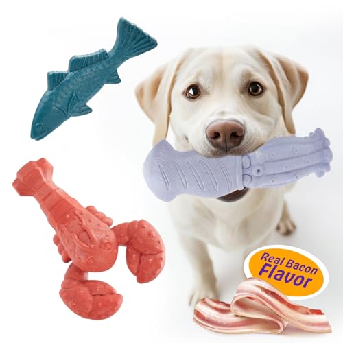 Kimee Hundespielzeug für aggressive Kauer, 3 Stück, unzerstörbares Kauspielzeug für Hunde, super Kauspielzeug mit robustem Nylon-Speckgeschmack für alle Rassen, Zahnreinigung und Training, Langeweile Kimee Hundespielzeug für aggressive Kauer, 3 Stück, unzerstörbares Kauspielzeug für Hunde, super Kauspielzeug mit robustem Nylon-Speckgeschmack für alle Rassen, Zahnreinigung und Training, Langeweile von Kimee