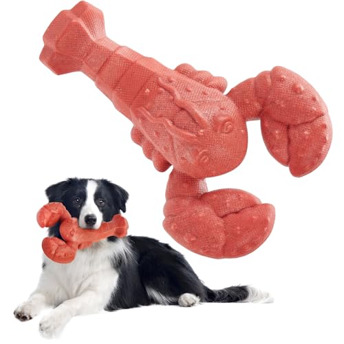 Kimee Robustes Hundespielzeug für aggressive Kauer, unzerstörbares Hundespielzeug, Nylon, farbiger Hummer, 1 Stück Kimee Robustes Hundespielzeug für aggressive Kauer, unzerstörbares Hundespielzeug, Nylon, farbiger Hummer, 1 Stück von Kimee