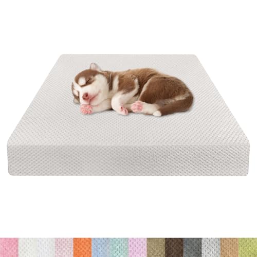 Kimgull Orthopädisches Hundebett Ananasstoff Hundematte 35D Schwamm Hundesofa Dog Bed rutschfest und Komfortabel Hundecouch Grosse Hunde mittelgroße Kleine 100x75x8cm Farbe25 Cremefarben von Kimgull