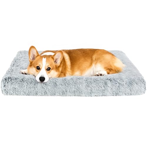 Flauschige, orthopädische Hundebetten für kleine Hunde mit waschbarem, abnehmbarem Bezug, Hundeboxbett, Schaumstoffstütze, Plüschmatte mit rutschfester Unterseite (Grau, 76,2 x 50,8 cm) von Kimpets