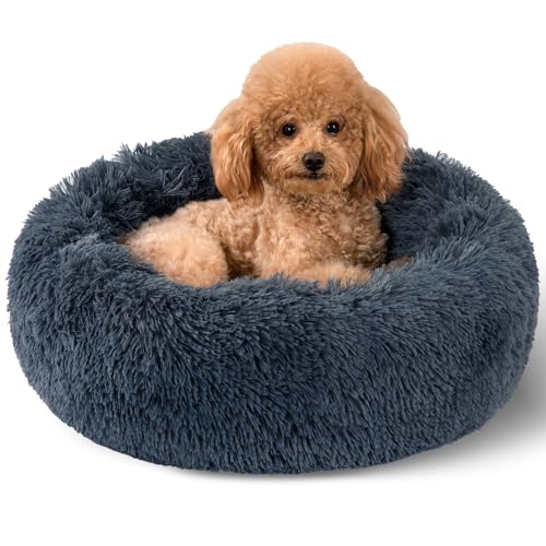 Kimpets Kuscheliges Hundebett, gemütlich, beruhigend, maschinenwaschbar, für kleine Hunde, niedlich, flauschig, Anti-Angst, 40 cm, bis zu 7 kg, gemütlich und bequem für kleine Hunde Kimpets Kuscheliges Hundebett, gemütlich, beruhigend, maschinenwaschbar, für kleine Hunde, niedlich, flauschig, Anti-Angst, 40 cm, bis zu 7 kg, gemütlich und bequem für kleine Hunde von Kimpets