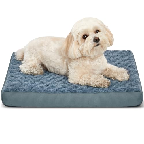 Kimpets Orthopädische Hundebetten für Hundekäfig, mit abnehmbarem, waschbarem Bezug, Schaumstoff-Matte mit rutschfester Unterseite, wasserdicht, klein, 50,8 x 40,6 cm von Kimpets