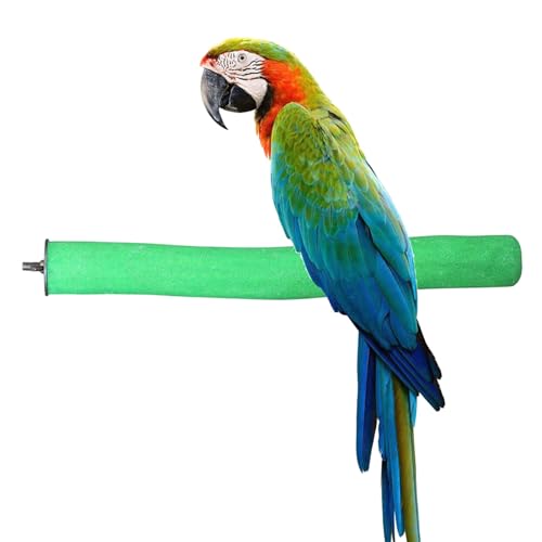KinTor Vogelsitzstange mit rauer Oberfläche Natur Holz Ständer Spielzeug Ast für Papageien Farben variieren, L-15.8inch, grün von KinTor