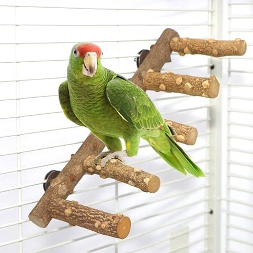 Vogelleiter Sitzstange Käfig Natur Holz Ständer Papagei Kauspielzeug für kleine mittelgroße Papageien Tier (M) von KinTor