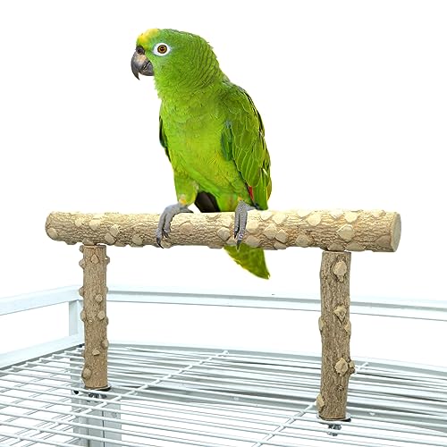 Vogelsitzstange, Vogelkäfig-Obersitzstange, Fitnessstudio, Naturholz, Papageienzweig für kleine, mittelgroße und große Papageien (S) von KinTor