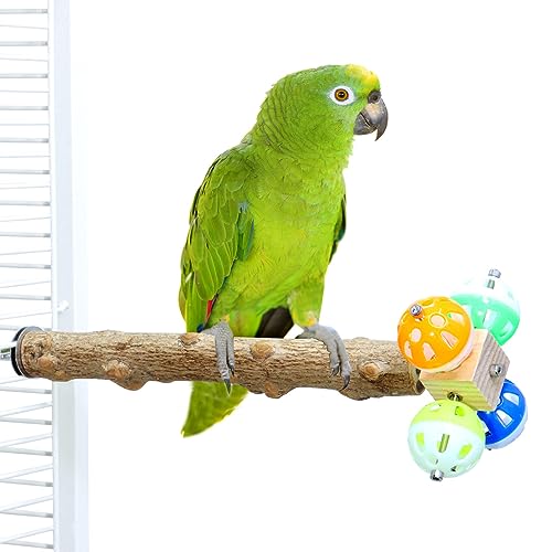 Vogelspielzeug Sitzstange mit rotierenden Bällen, Papageien-Futtersuche, Obst- und Gemüsehalter für kleine und mittelgroße Papageien (30 cm lang) von KinTor