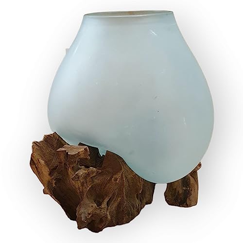 Geschmolzenes milchiges Glas auf Wurzelholz - Glasschale auf Wurzel - Teak Holz mit Glasvase oder Schale als Terrarium von Kinaree