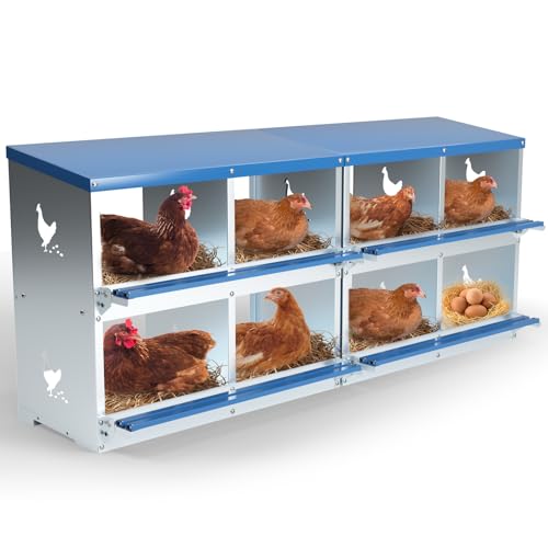 Kinchoix Hühner Nistkasten 8 Fächer Legeboxen für Hühner Hühner Enten Geflügel schützen Eier Hühnerstall Einfache Eiersammlung Wandhalterung Metall Nistkasten für Hühnerstall Kinchoix Hühner Nistkasten 8 Fächer Legeboxen für Hühner Hühner Enten Geflügel schützen Eier Hühnerstall Einfache Eiersammlung Wandhalterung Metall Nistkasten für Hühnerstall von Kinchoix