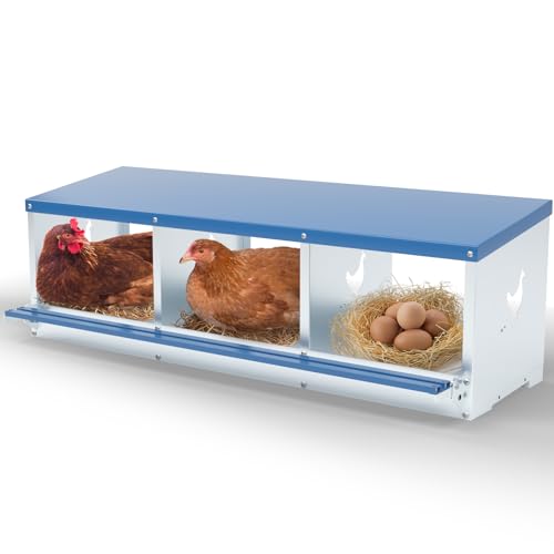 Kinchoix Hühner Nistkasten zum Eierlegen 3 Löcher Metall Nistkasten für Hühner Hühner Enten Geflügel schützen Eier Hühnerstall Einfache Eiersammlung Wandhalterung Nistkasten für Hühnerstall Kinchoix Hühner Nistkasten zum Eierlegen 3 Löcher Metall Nistkasten für Hühner Hühner Enten Geflügel schützen Eier Hühnerstall Einfache Eiersammlung Wandhalterung Nistkasten für Hühnerstall von Kinchoix