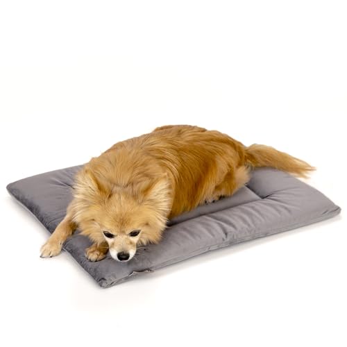 KindTail Hundebox-Pad, weicher Samt, wendbare Hundebett-Matte, maschinenwaschbar, Hundehüttenunterlage für Hunde und Katzen, Hundekäfig-Matratzenauflage für gemütliches Schlafen, klein, dunkelgrau KindTail Hundebox-Pad, weicher Samt, wendbare Hundebett-Matte, maschinenwaschbar, Hundehüttenunterlage für Hunde und Katzen, Hundekäfig-Matratzenauflage für gemütliches Schlafen, klein, dunkelgrau von KindTail